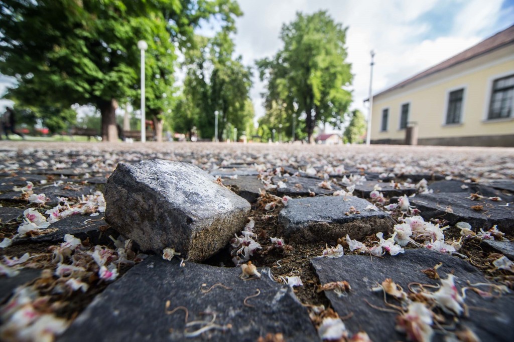 A burkolat egyes szakaszait javítani szükséges, illetve annak egy részét újra kell rakni, hiszen egyenetlenségei veszélyt jelentenek a ligetben játszó gyermekek, idősek számára is