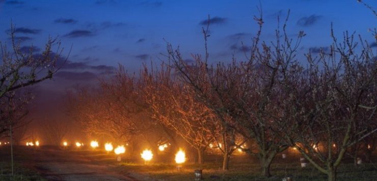 A fagy elleni füstölés nem ütközik tűzvédelmi szabályba