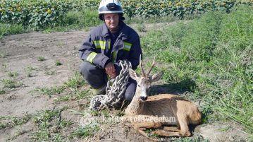 Július hónap fotója – minden élet számít