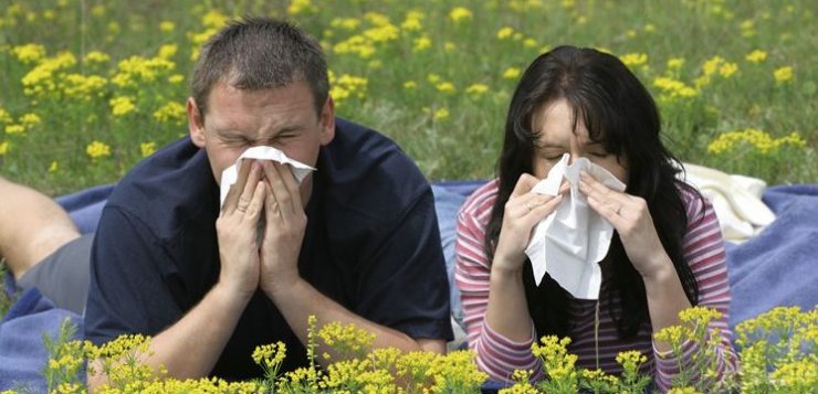 A jövő héten berobban az allergiaszezon, több millió magyar szenvedhet a tünetektől
