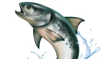 December 31-ig lehet szavazni az év halára