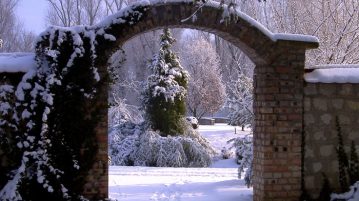 Újra megnyílt az Erdőtelki Arborétum