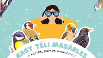 Elindult a Nagy Téli Madárles (videóval)