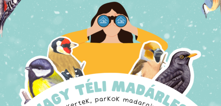 Elindult a Nagy Téli Madárles (videóval)