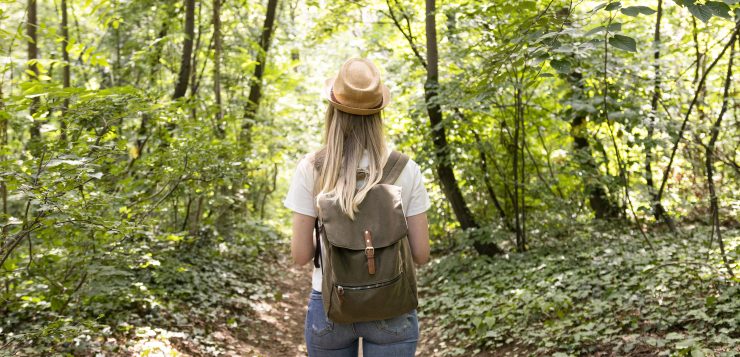 Természetes védekezés a kullancsok ellen – Illóolajokkal a biztonságért