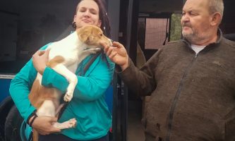 Papamaci Árvái – Menhely vigyáz a hevesi gazdátlan kutyusokra