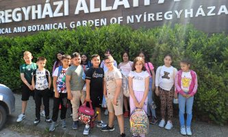 Utazás a vadon világába-felfedező séta a Föld állatai között