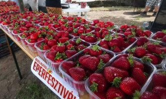 A térség legnagyobb hevesi gasztrofesztiváljáról tudósított a Szent István rádió