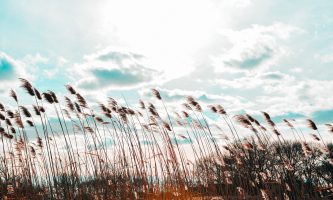 Változékony, gyakran szeles idő várható a héten