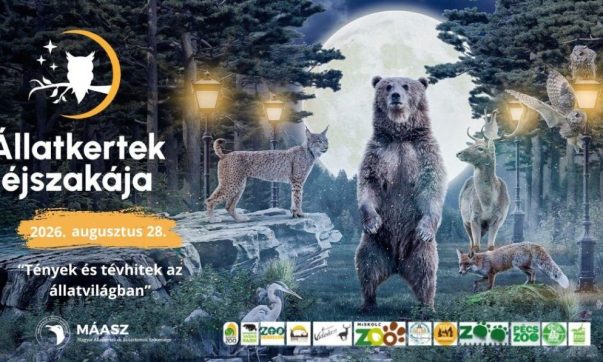 Pénteken látványos bemutatókkal és izgalmas előadásokkal vár az Állatkertek Éjszakája